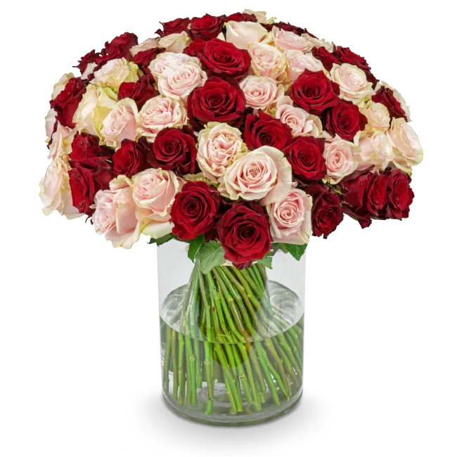 Bouquet of pink and red roses